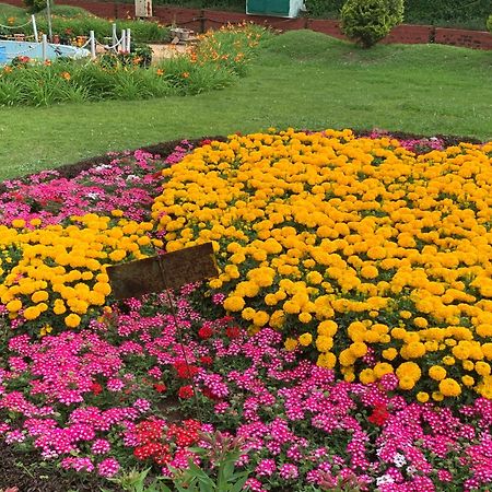 Kodai Pinetree Residency Kodaikanal Rom bilde