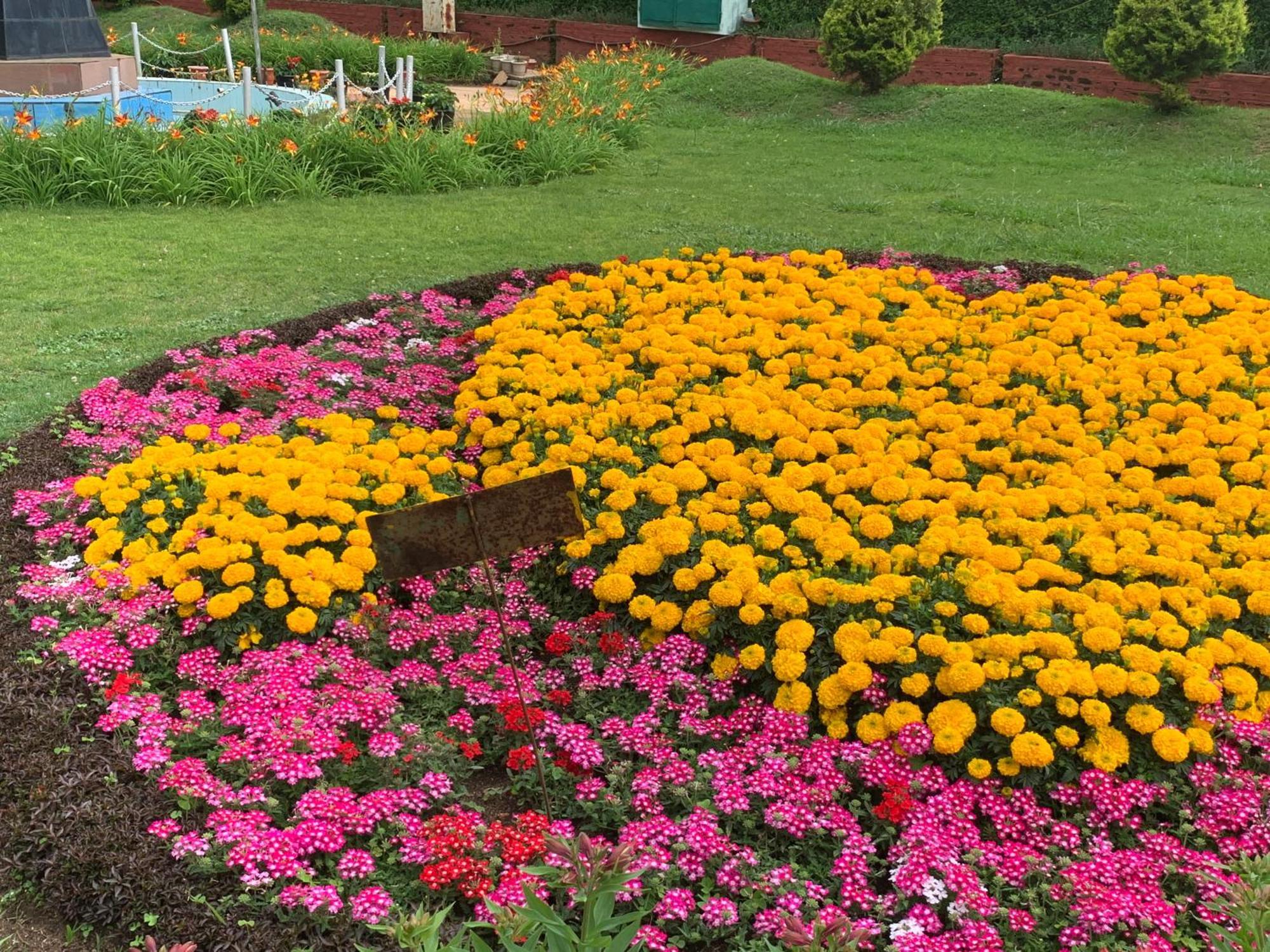 Kodai Pinetree Residency Kodaikanal Rom bilde